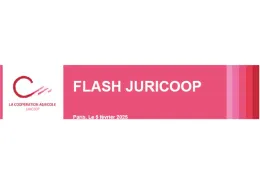 Flash Juricoop