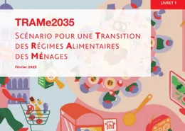 TRAMe2035
