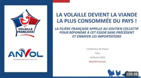 conférence de presse anvol 2025