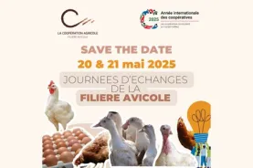 miniature STD journées avi 2025
