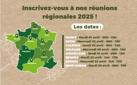 MDG RR 2025