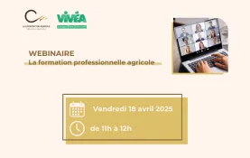 webinaire vivea
