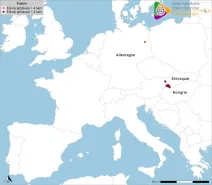Localisation des foyers de fièvre aphteuse détectés en Europe depuis le 09/01/2025 (date de la première détection en Allemagne) en rouge clair, et sur les quatre dernières semaines (incidence mensuelle) en rouge foncé (source : Commission européenne ADIS le 02/04/2025)