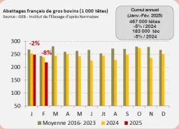 BEI Interbev mars 2025
