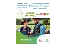FNO