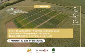 Webinaire - Cycle nouvelles cultures