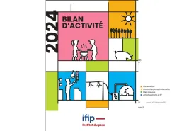 Bilan d'activité IFIP 2024