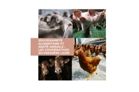 couverture DP déjeuner presse 2025