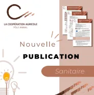 Nouvelle publication sanitaire