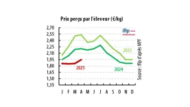 Indicateurs IFIP Juillet 2025