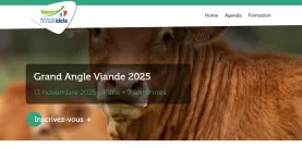 grand angle viande 2025