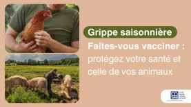 grippe saisoniere 