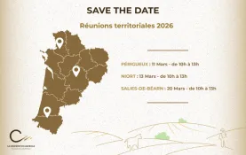 territoriales 2026