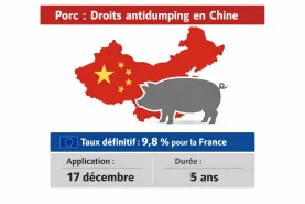Chine Antidumping