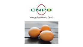 CNPO