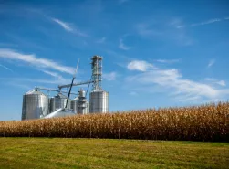 Silos Grain - Infrastructures 2030