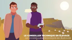 Motion design - amont de la filière
