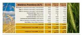 TB NA Mars 2026