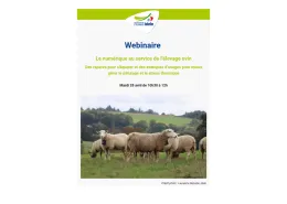 webinaire numérique avril 2026