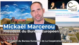 Mickael Marecerou