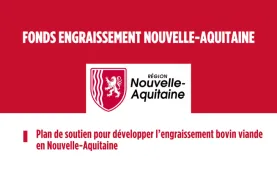 vf fonds engriassement