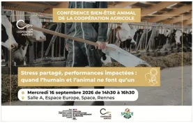Conférence BEA 2026
