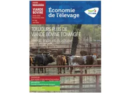 MMX VIANDE BOVINE année 2025 perspective 2026