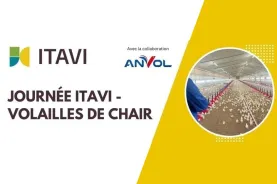 journée itavi 2026