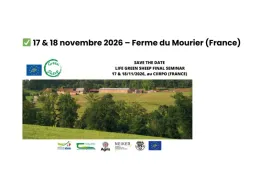 green sheep séminaire final