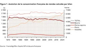 Consommation de viande en France (FranceAgriMer)