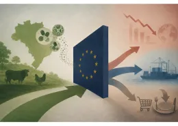 import viande volaille Brésil UE