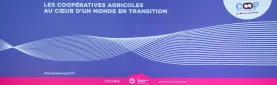 CongresCoop2017_bandeau02.jpg