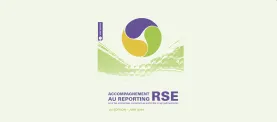 EnTete_GuideReporting_RSE_4.png