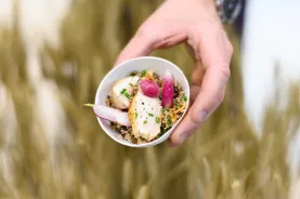 Poké bowl quinoa.jpg