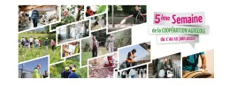 semaine_bandeau_site_0.jpg