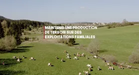 Capture grandvallier.JPG