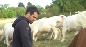 Capture spinelli.JPG