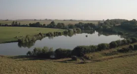 Capture manifeste.JPG