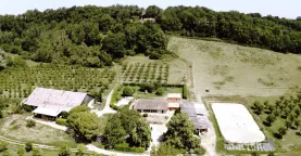 Capture coufidou.JPG