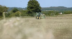 Capture grasasa 2.JPG