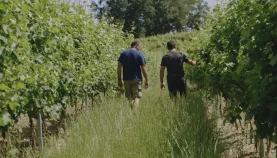 Capture landerrouat.JPG