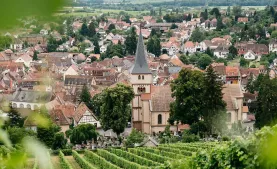 Webp.net-compress-image (31).jpg