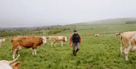 capture jeune montagne.JPG