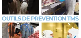 bandeau TMS.PNG