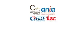Entete_Lca_Ania_Feef_ilec02_0.png
