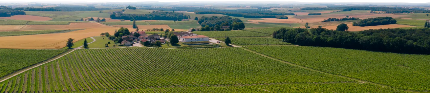 Paysage de plaine