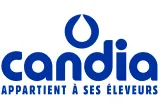 Logo Candia