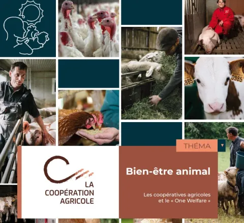 Thema Bien être animal