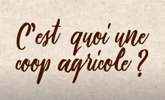 C'est quoi une coop ?