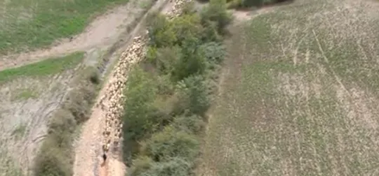 Vidéo 4 Développer